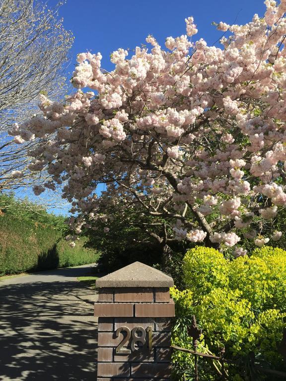 Rhododendron Garden Hotel Christchurch Exterior foto
