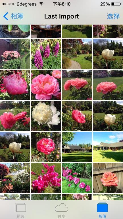 Rhododendron Garden Hotel Christchurch Exterior foto