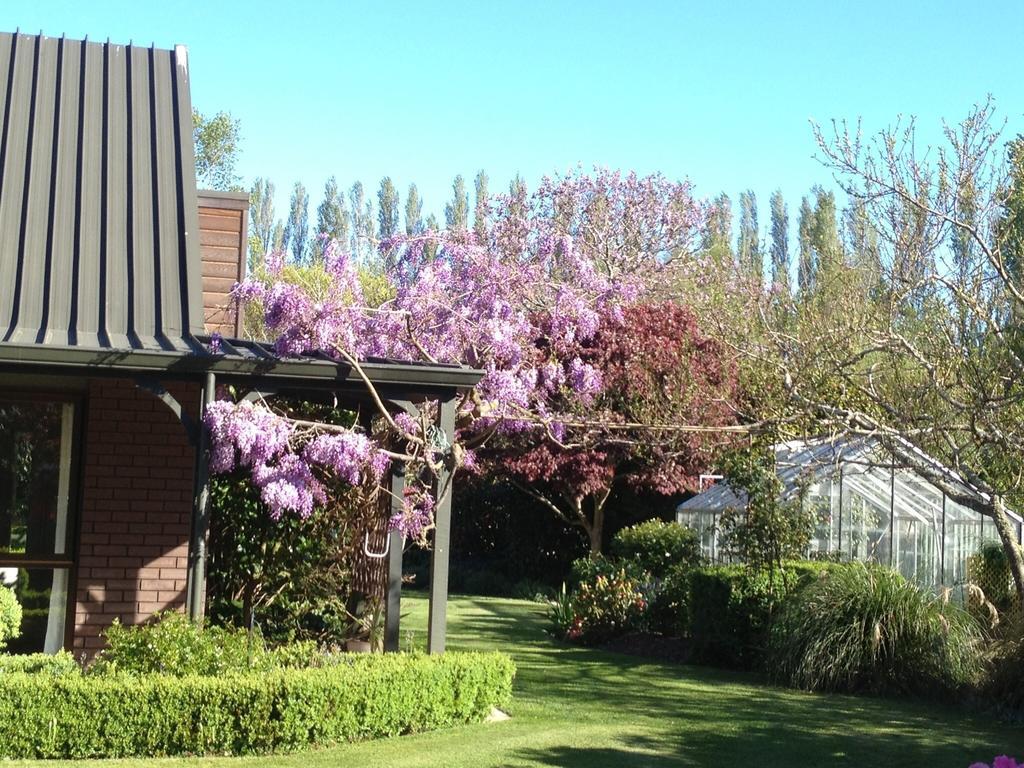 Rhododendron Garden Hotel Christchurch Cameră foto